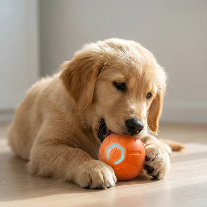 smart dog ball toy with LED lights automatic rolling and bouncing