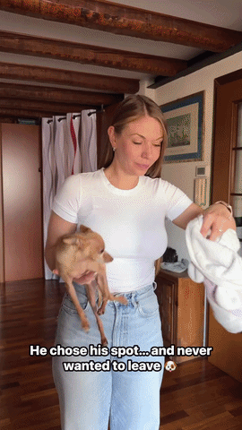 SnugglePouch Pet Carry Hoodie